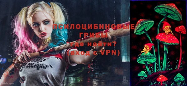 стаф Алексеевка
